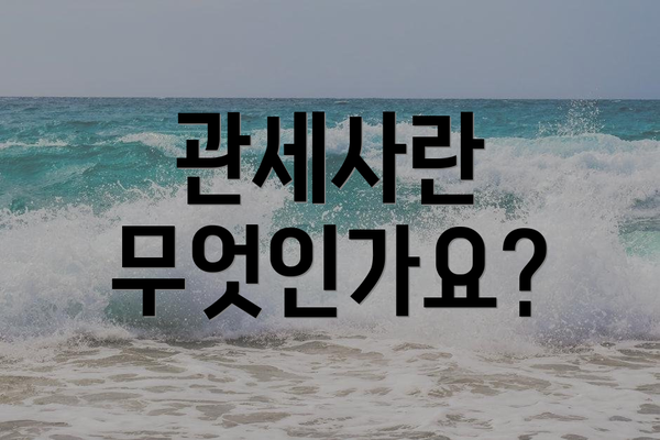 관세사란 무엇인가요?