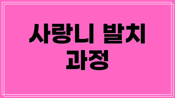 사랑니 발치 과정