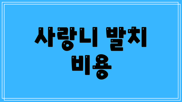 사랑니 발치 비용