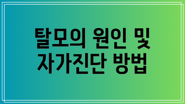 탈모의 원인 및 자가진단 방법