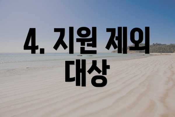 4. 지원 제외 대상