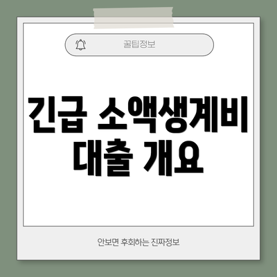 긴급 소액생계비 대출 개요