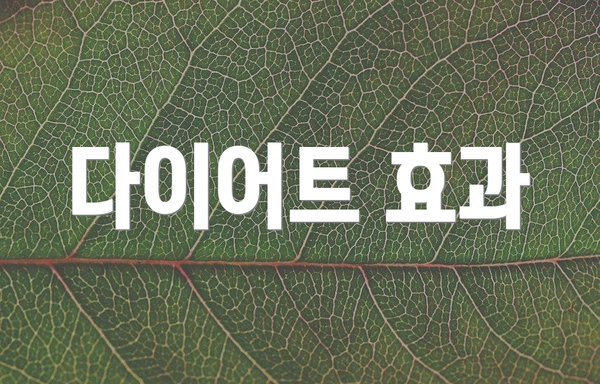다이어트 효과