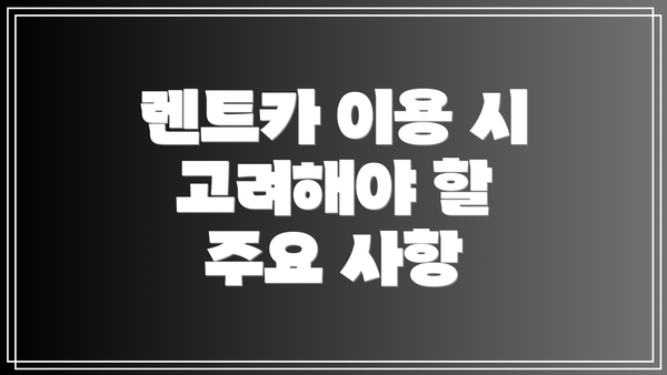 렌트카 이용 시 고려해야 할 주요 사항