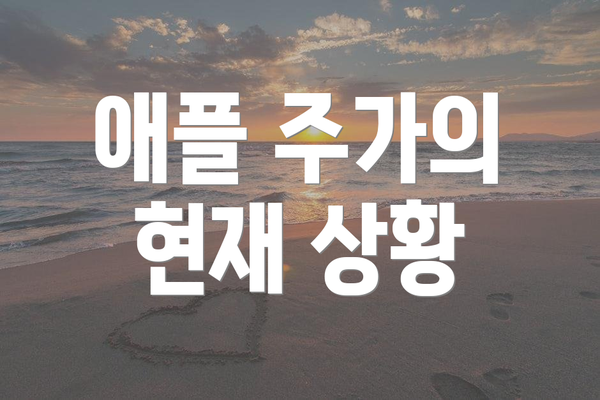 애플 주가의 현재 상황