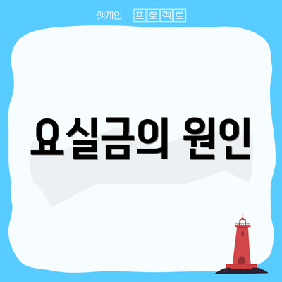 요실금의 원인