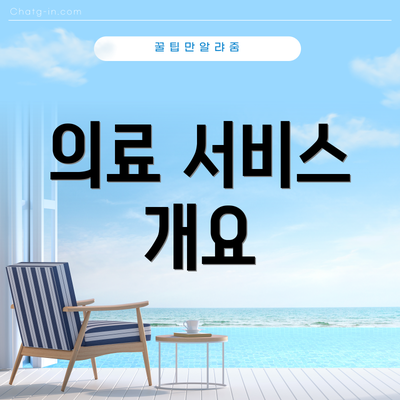 의료 서비스 개요