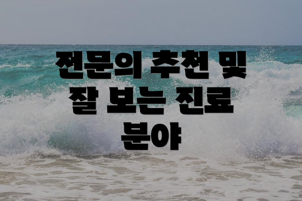 전문의 추천 및 잘 보는 진료 분야