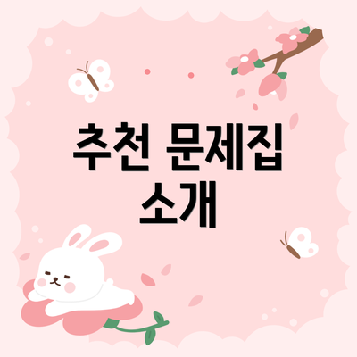 추천 문제집 소개