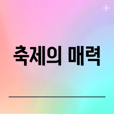 축제의 매력