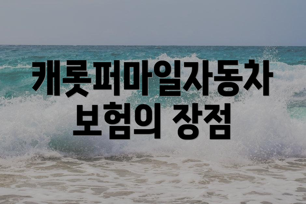 캐롯퍼마일자동차보험의 장점