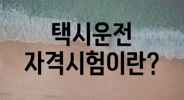 택시운전 자격시험이란?