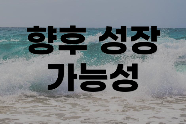 향후 성장 가능성
