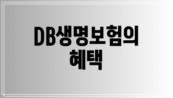DB생명보험의 혜택