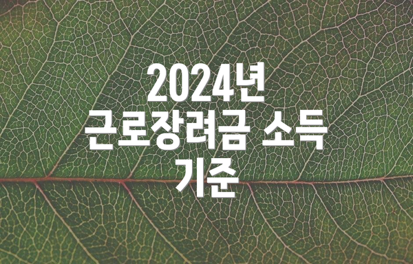 2024년 근로장려금 소득 기준