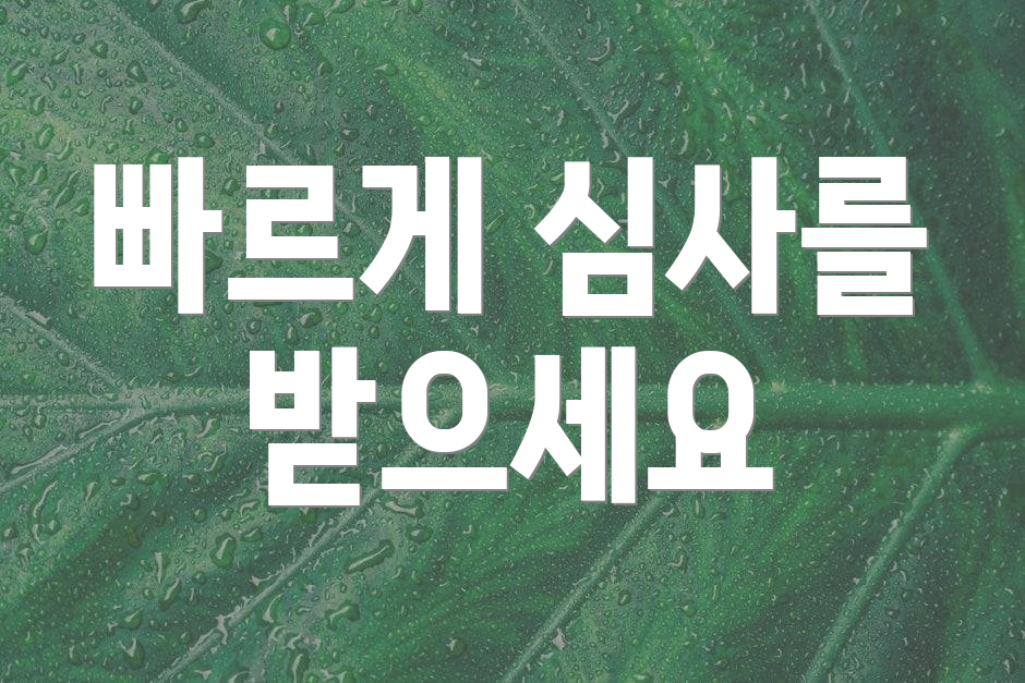 빠르게 심사를 받으세요