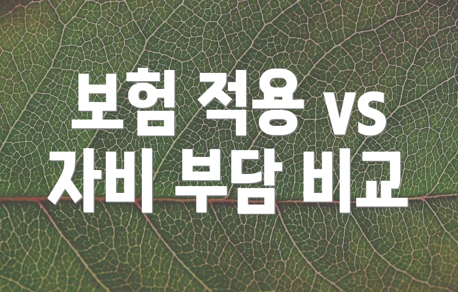 보험 적용 vs 자비 부담 비교