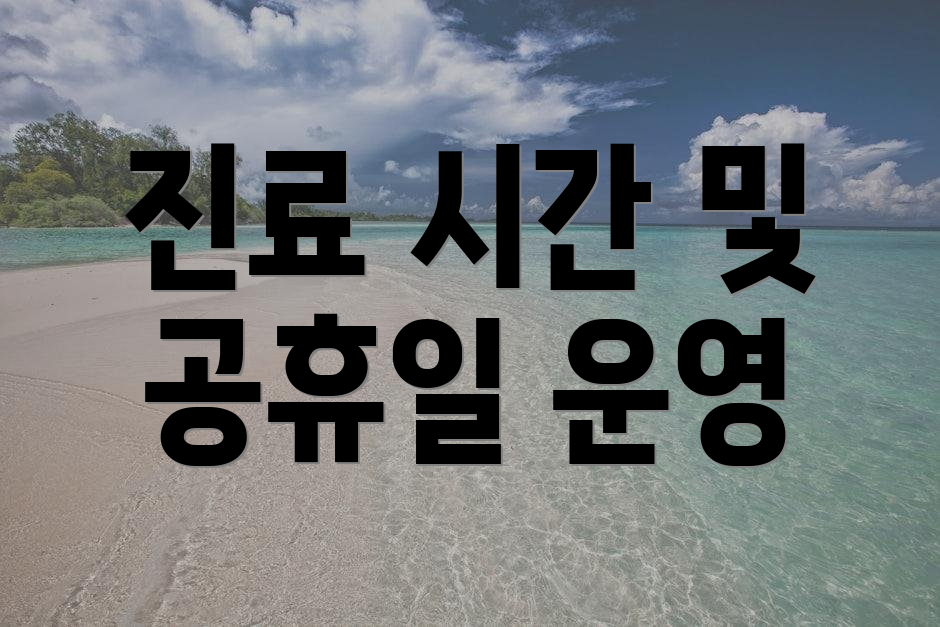 진료 시간 및 공휴일 운영