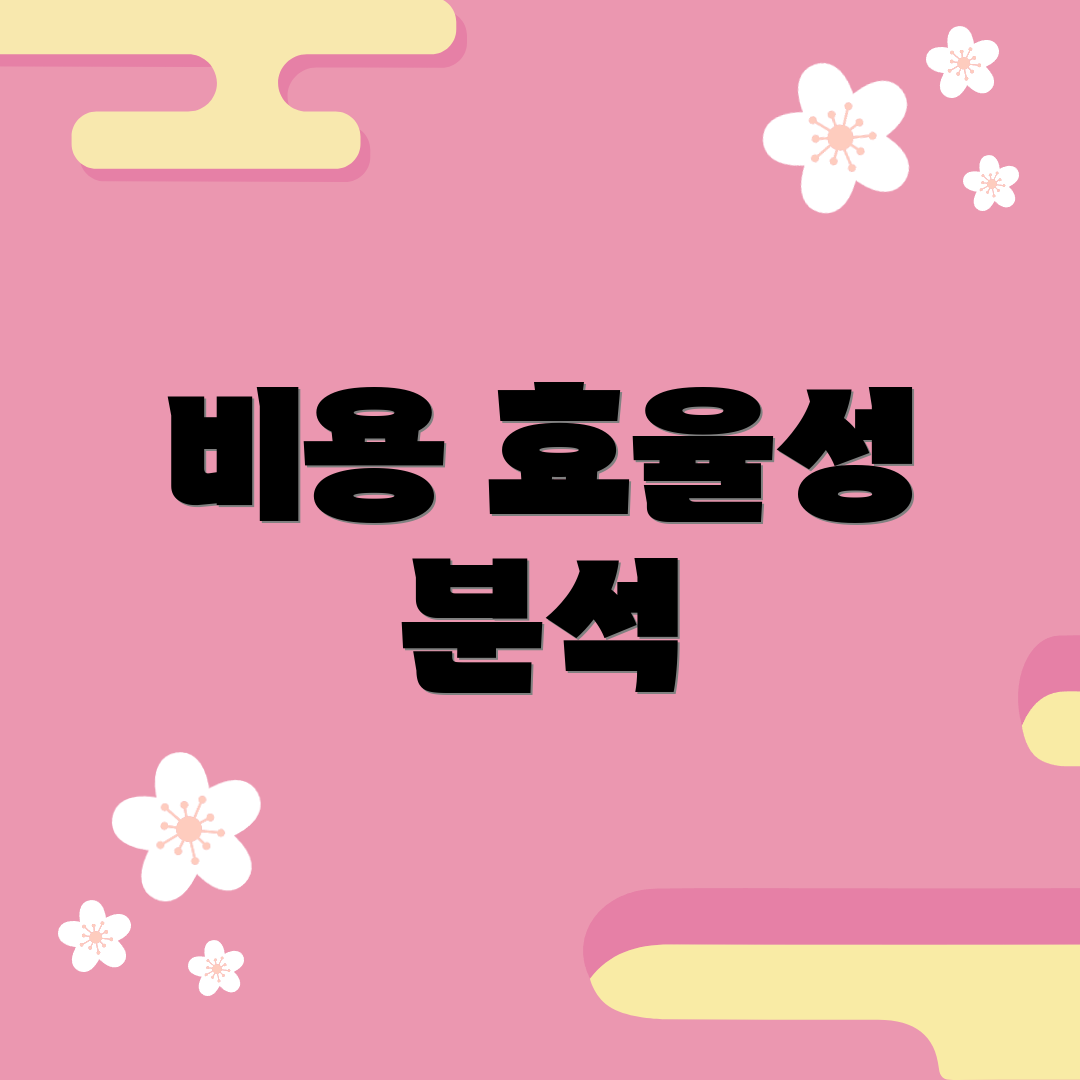 비용 효율성 분석