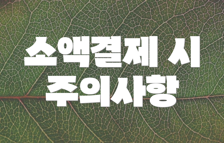 소액결제 시 주의사항