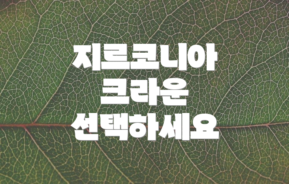 지르코니아 크라운 선택하세요