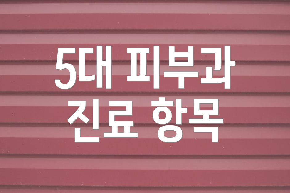 5대 피부과 진료 항목