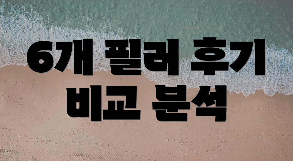 6개 필러 후기 비교 분석