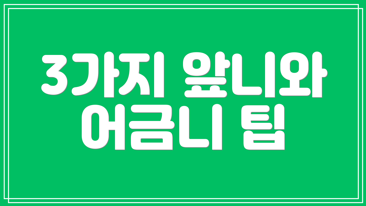 3가지 앞니와 어금니 팁
