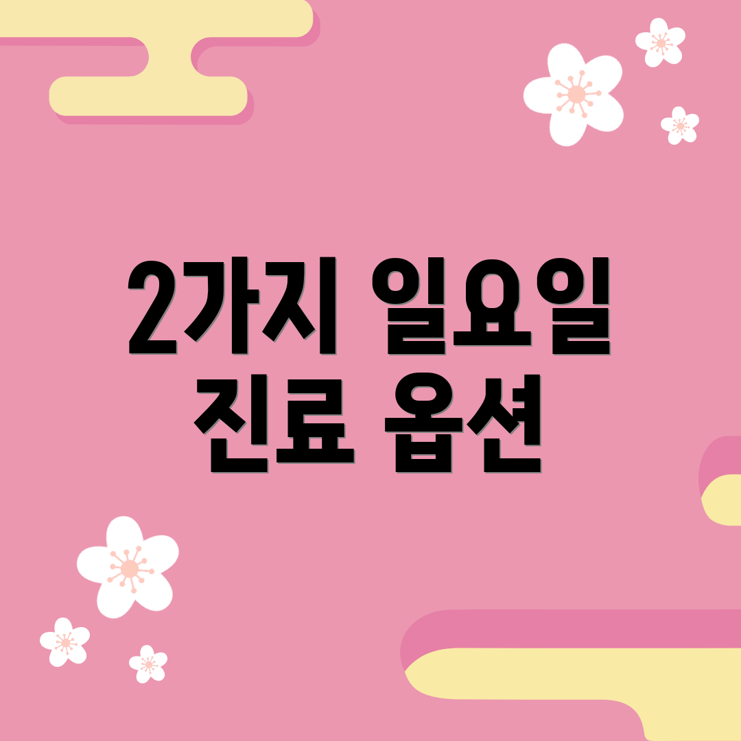 2가지 일요일 진료 옵션