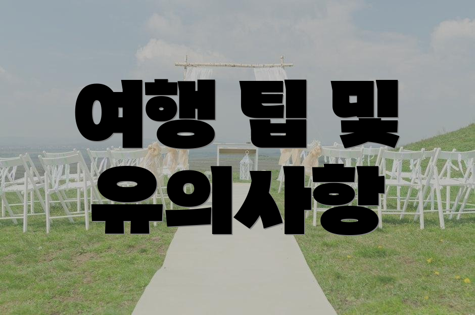 여행 팁 및 유의사항