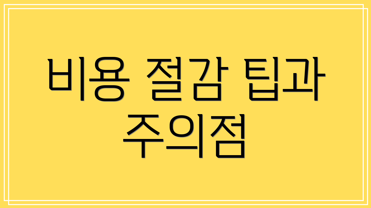 비용 절감 팁과 주의점