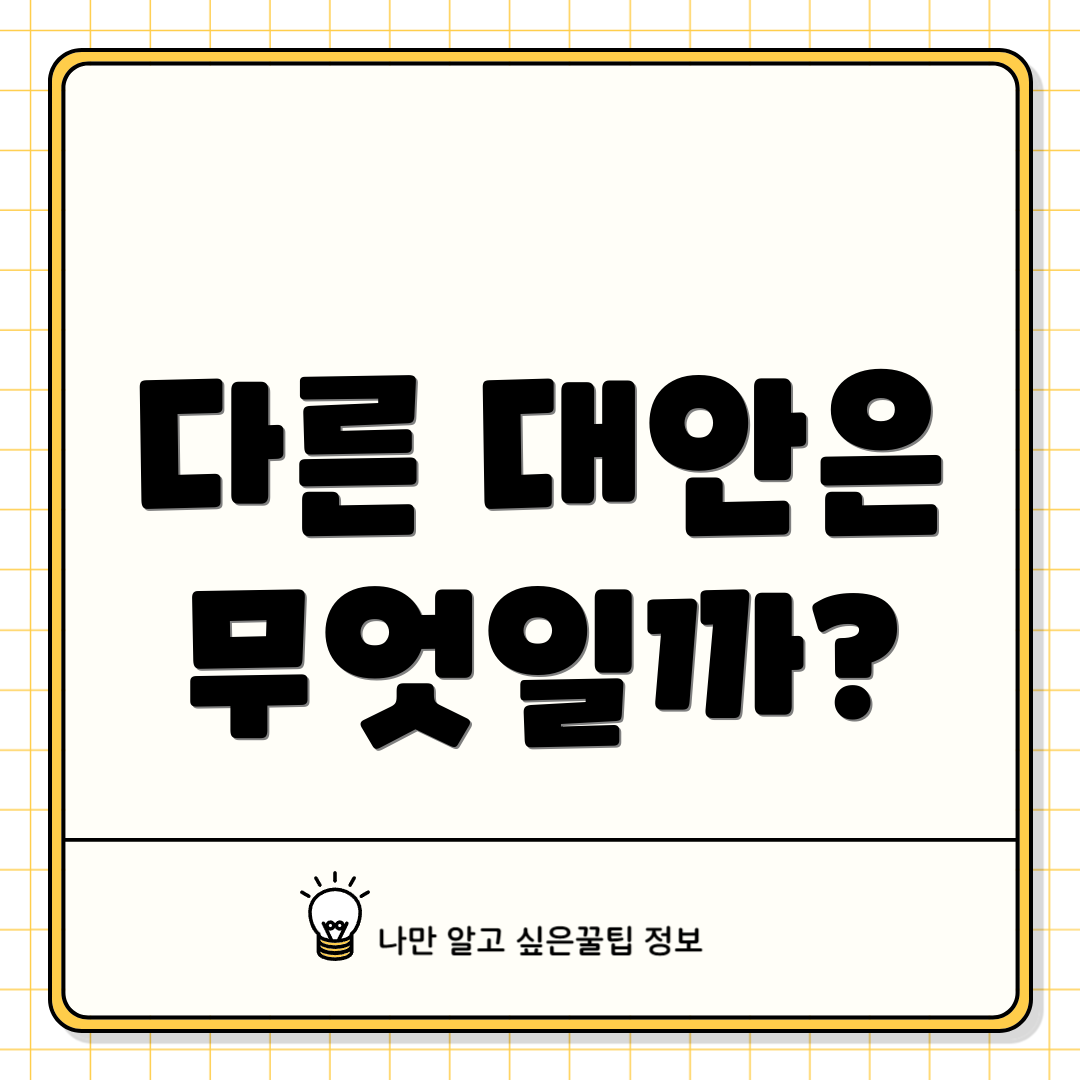 다른 대안은 무엇일까?