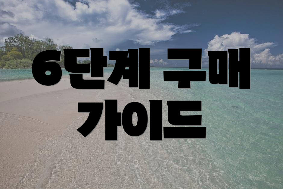 6단계 구매 가이드