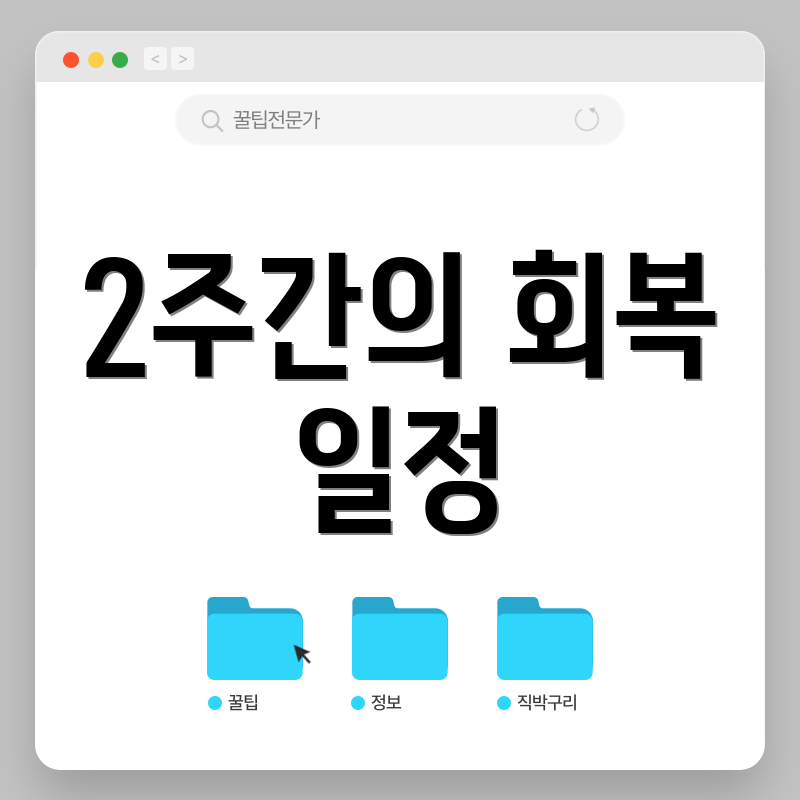 2주간의 회복 일정