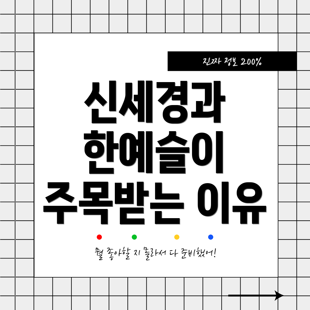 신세경과 한예슬이 주목받는 이유