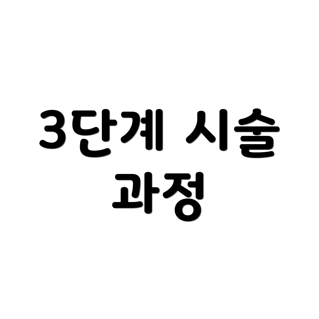 3단계 시술 과정