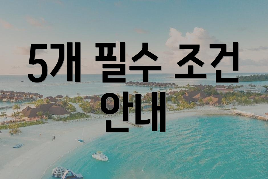 5개 필수 조건 안내