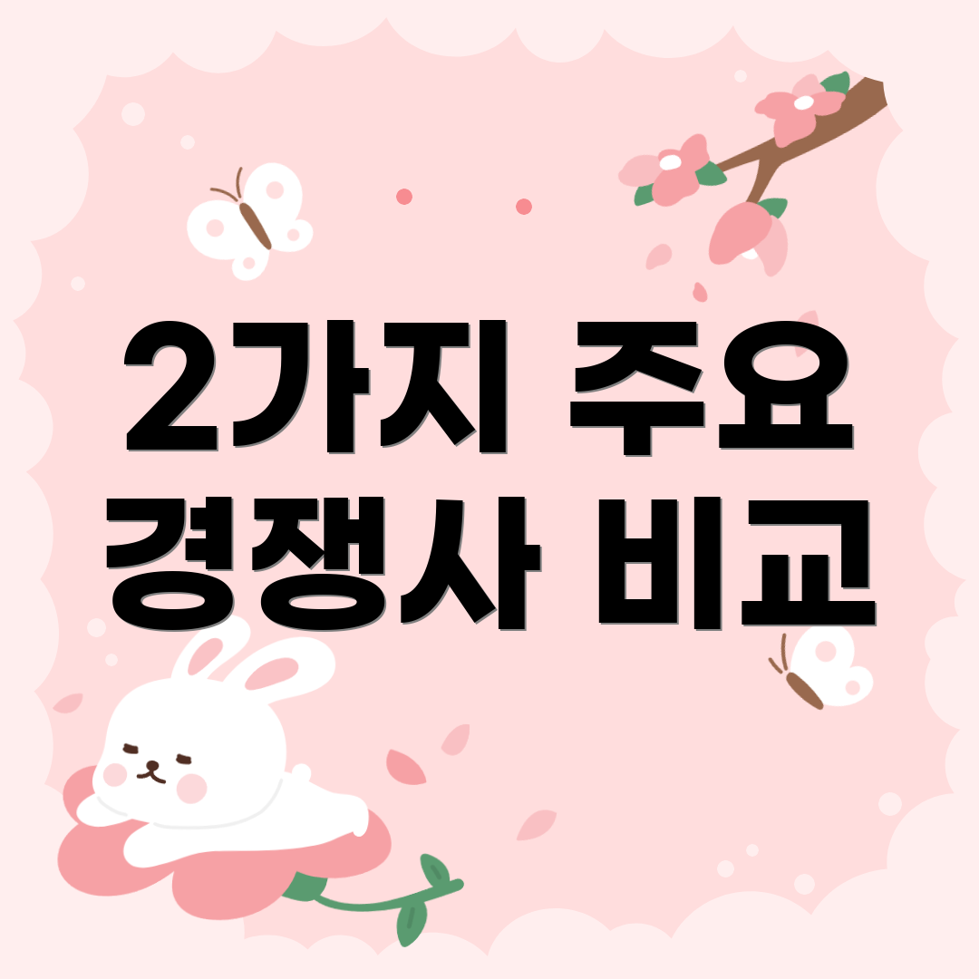 2가지 주요 경쟁사 비교