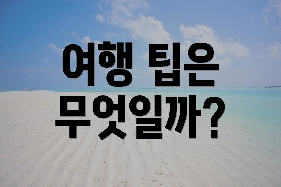 여행 팁은 무엇일까?