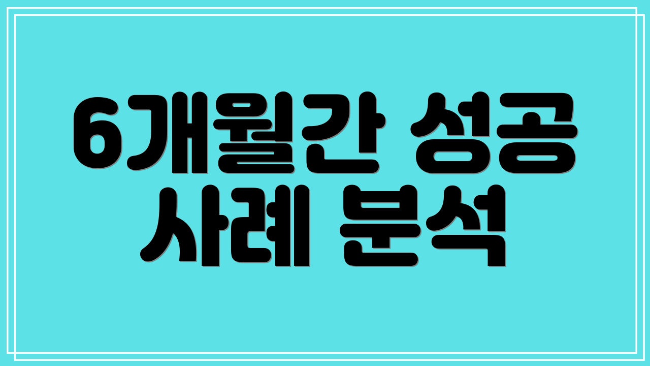 6개월간 성공 사례 분석