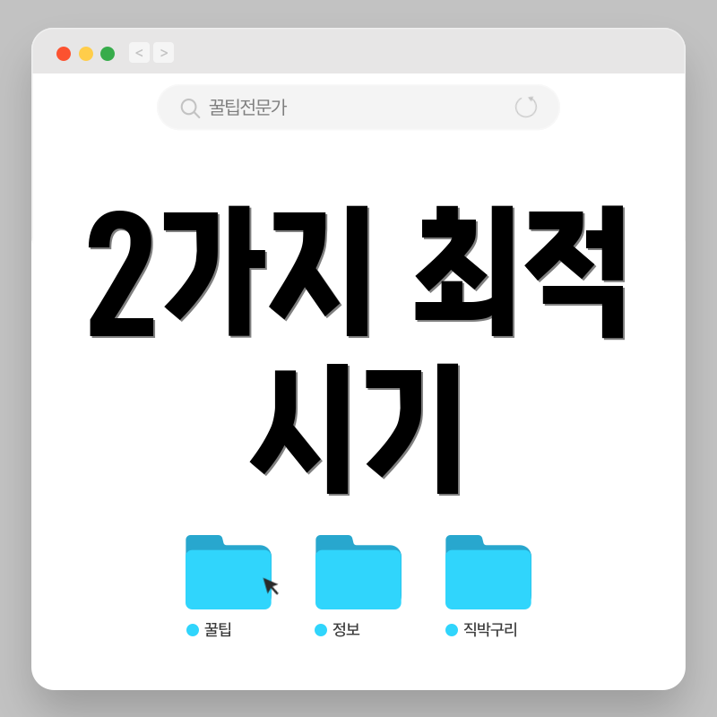2가지 최적 시기