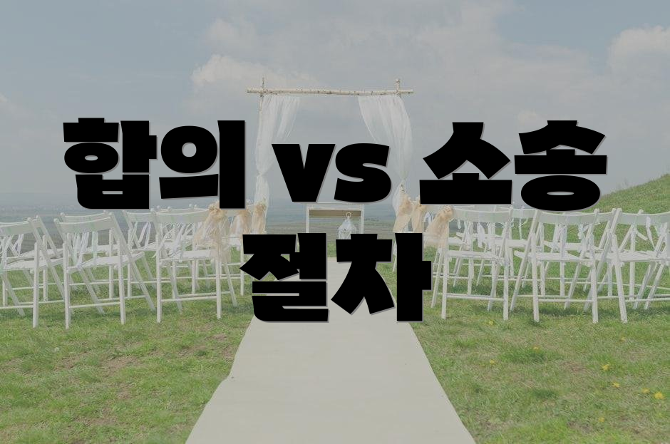 합의 vs 소송 절차