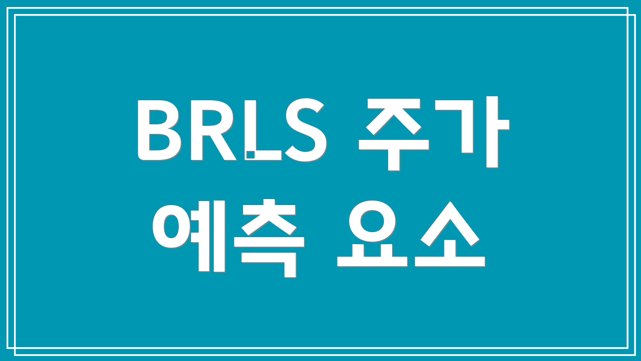 BRLS 주가 예측 요소