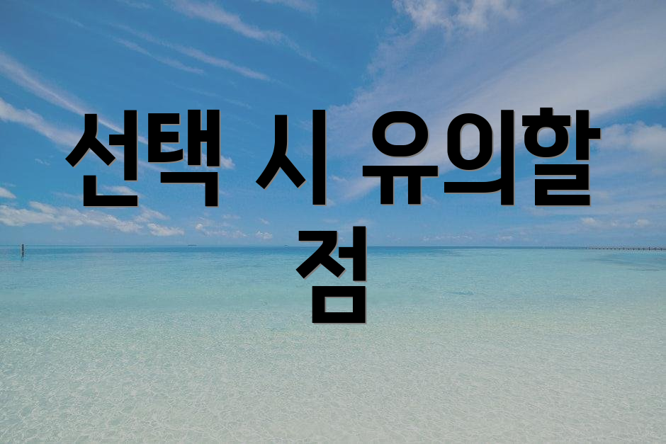 선택 시 유의할 점