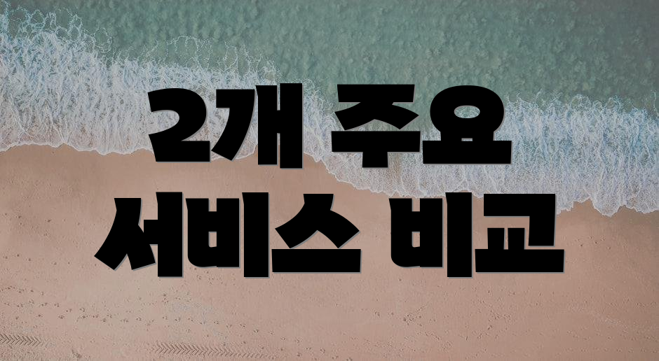 2개 주요 서비스 비교