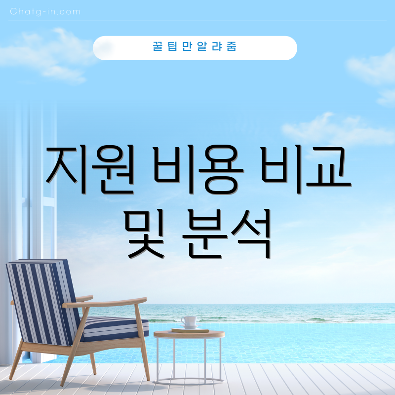 지원 비용 비교 및 분석