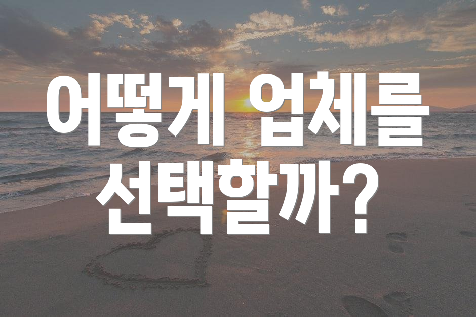 어떻게 업체를 선택할까?