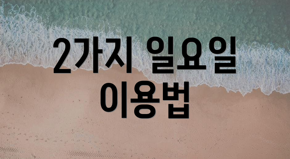 2가지 일요일 이용법