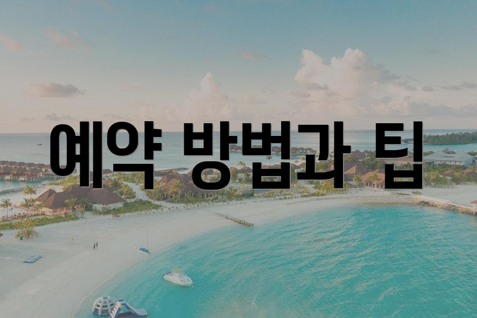예약 방법과 팁