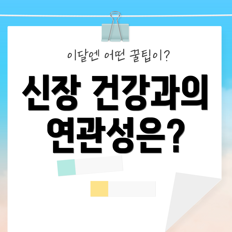 신장 건강과의 연관성은?
